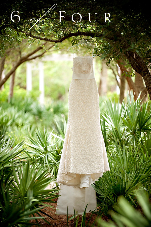Wedding Dress in the Woods, Photography 6 of Four