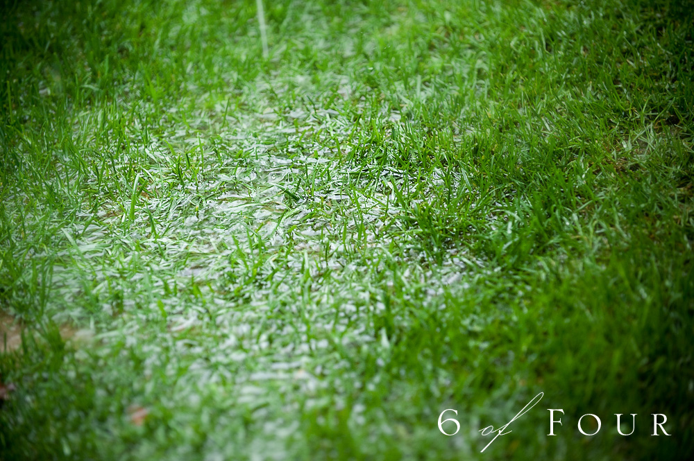 Old_Edwards_Inn_Highlands_North_Carolina_Wedding_grass_wet_rain