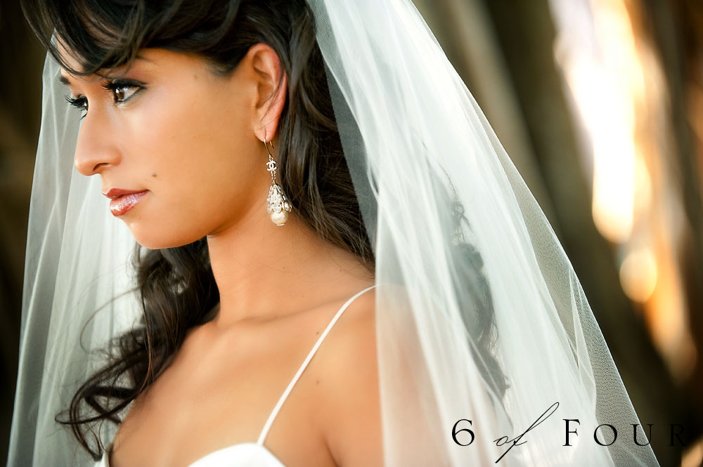Shah_Wedding_Amsale_Banyan_Tree Shah_Wedding_Amsale_Banyan_Tree