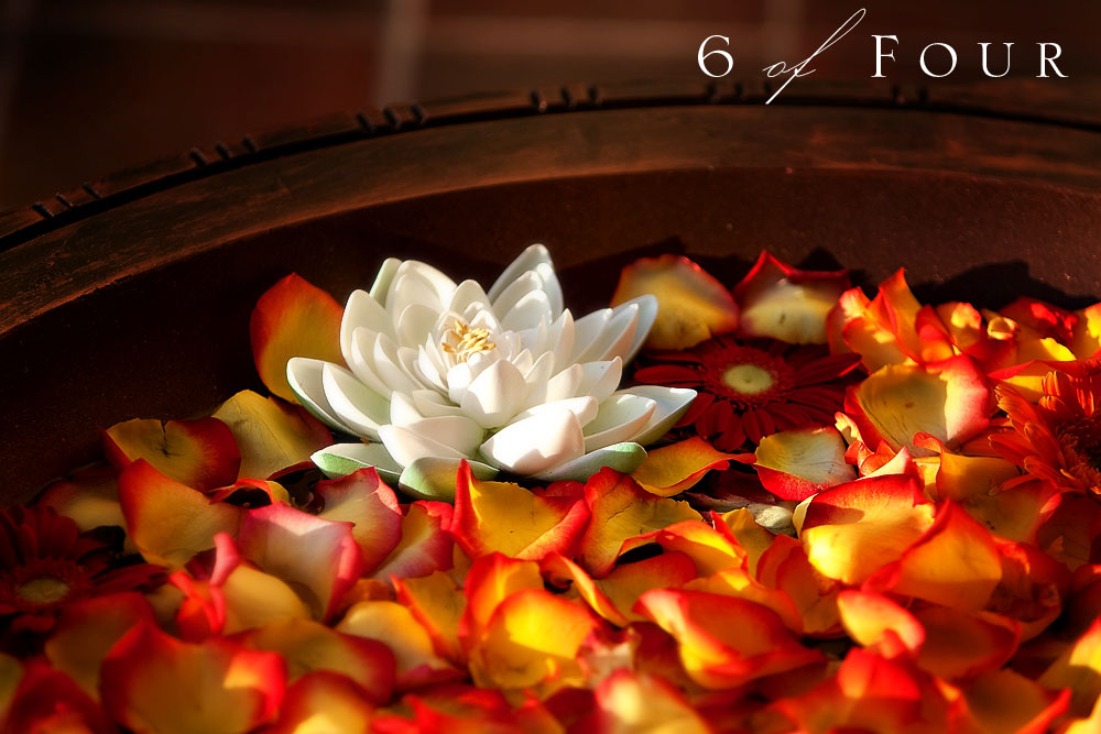 indian_hindu_wedding_ceremony_photography_Palloos_Flowers_detail