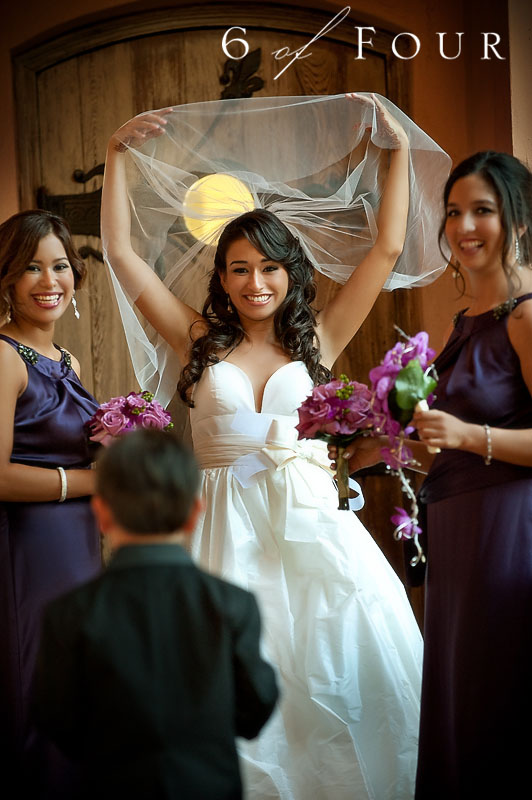 brides_bridesmaids_ringbearer_florida brides_bridesmaids_ringbearer_florida