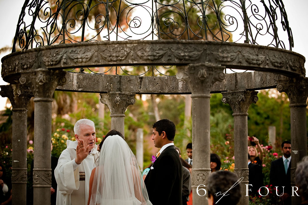 bride_groom_rose_garden_Florida_wedding bride_groom_rose_garden_Florida_wedding