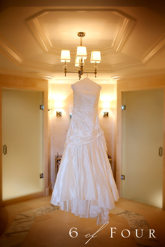 Gorgeous_Wedding_dress_St_Regis
