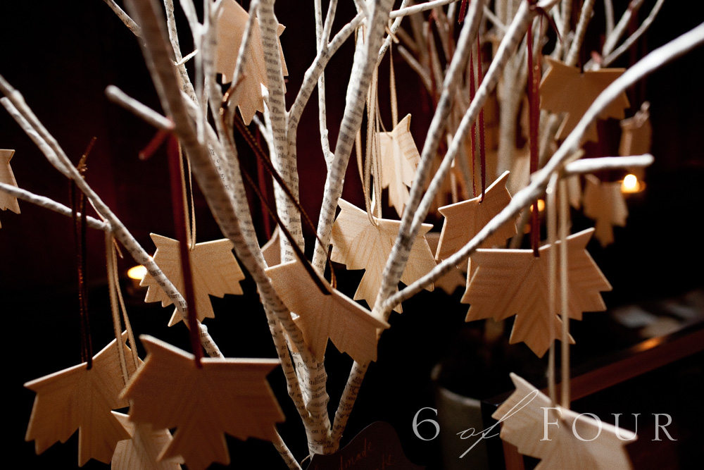 Old_edwards_inn_Highlands_NC_wedding_photographer_photography_kaufman019
